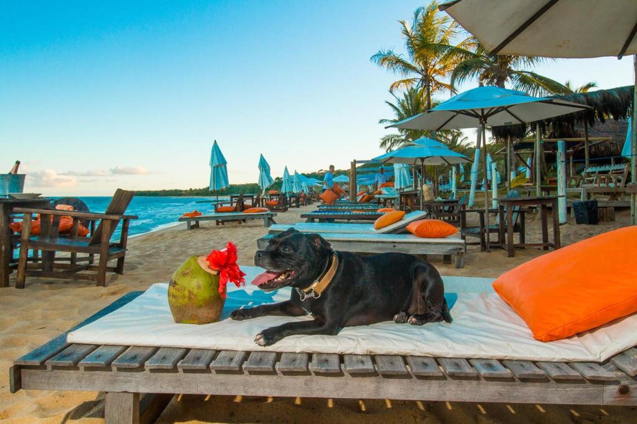 Travel Inn Trancoso Garden Екстериор снимка